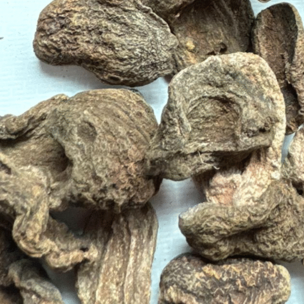 LAKOTA (fruit miraculeux)