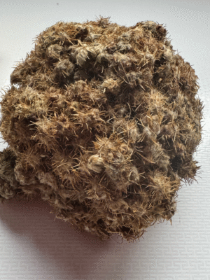 COLLÉ SERRÉ (une boulle)