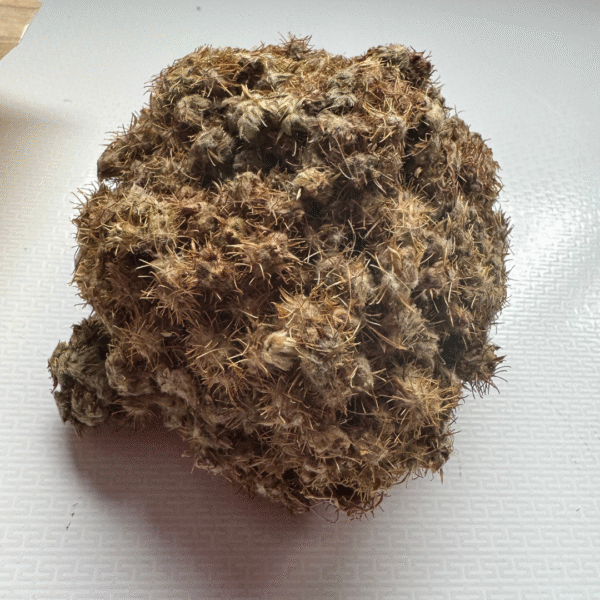 COLLÉ SERRÉ (une boulle)