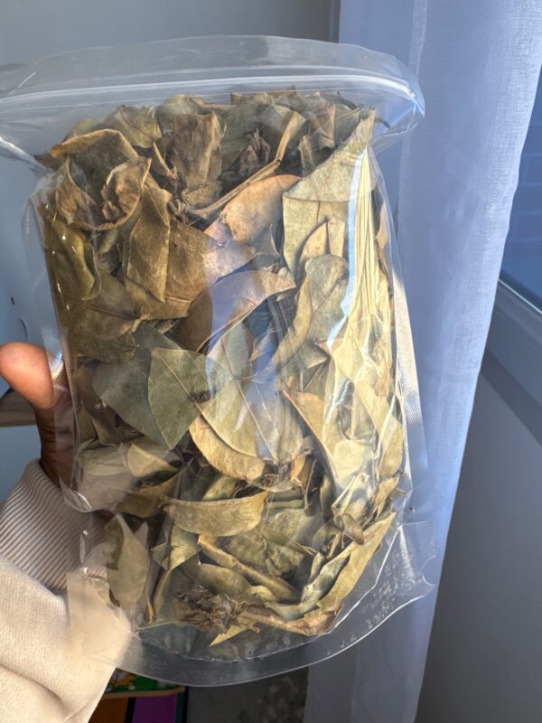 Feuille de corossol séché (50g)