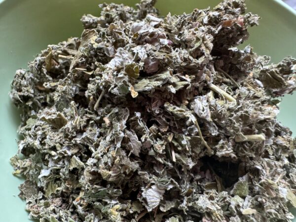 Feuille de framboisier