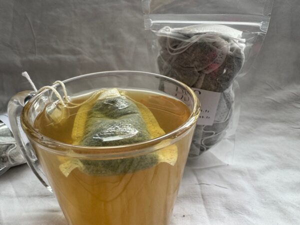 Feuille de framboisier