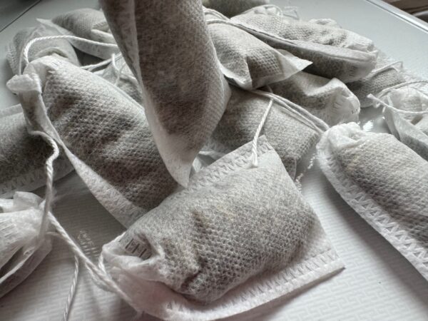 Feuille de framboisier