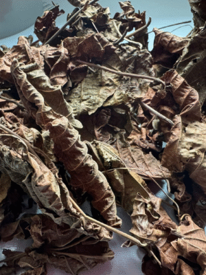 Feuilles séchées de Djéka