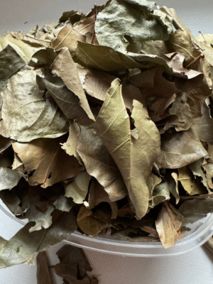 img_8481 Feuilles Séchées de kinkeliba 100% bio