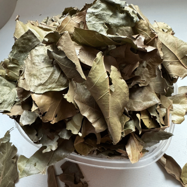 Feuilles Séchées de kinkeliba 100% bio