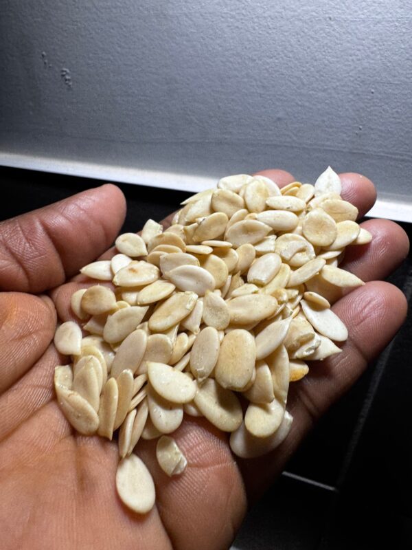 Goussi ou Egousi - pistaches africaines (entier)