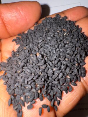 img_8491 Graines de Nigelle entières - Cumin noir (100g)