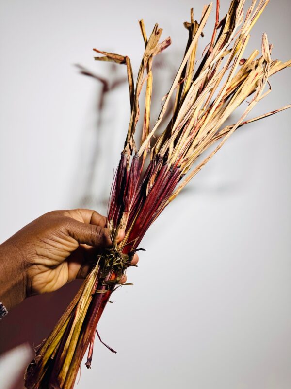 img_8501 KPOKPO ou HOUN MANSI (remède contre l’anémie)