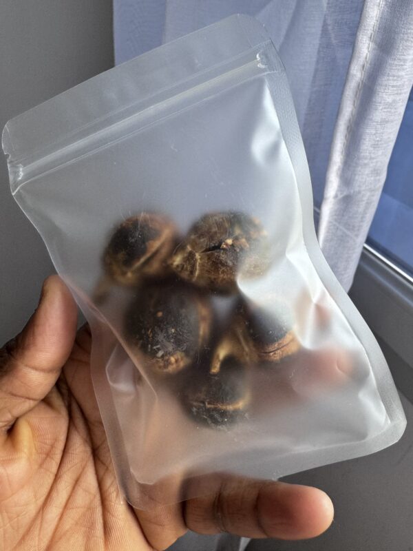 Gorontula - chewing gum africain