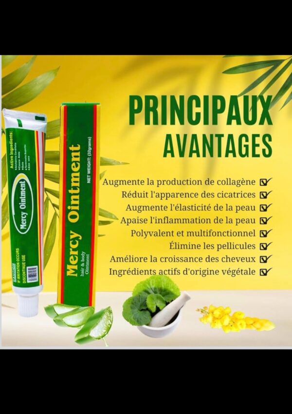 Crème Mercyointment (30g)